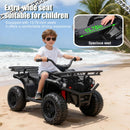 Electric 24V Off-Road Quad Car for Kids Ages 3-5 with Music and LED Lights