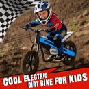 300W 24V Kids Off-Road Electric Balance Bike with LED Lights and Music, 2 Speed