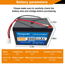 24V 8Ah Lithium Battery for Children's Ride-On Vehicles with 2A Charger and 25A BMS Compatibility