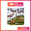 THINKBAY 14-Piece Realistic Deer Family Figurine Collection