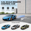 QUN XING 1:24 Blue Lamborghini Remote Control Car with 2.4G Technology