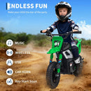 24V Electric Dirt Bike for Kids with 350W Motor - 13 MPH Ride-On Motorcycle