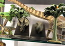PNSO Marsh Dolly Sterrholophus 1/15 Dinosaur Collectible Art Figure