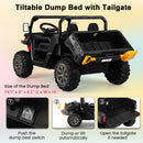 24V Electric 2-Seater Black Ride-On Dump Truck with Remote Control