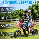24V Children's Electric Dirt Bike, Speeds Up to 14 MPH, Mini Electric Motorcycle with 2.75-inch Wheels