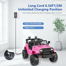12V Charger for Children's Ride-On Vehicles and Electric Cars