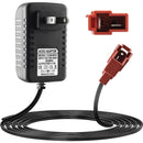 6V Charger for Ride-On Toys - Works with BMX X6 & Children's Vehicles