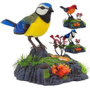 Interactive Singing Chirping Bird Toy with Motion Detection