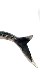 PNSO RON THE MOSASAURUS 1/35 Scale Dinosaur Collectible Art Figure