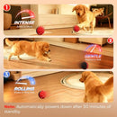 Diman Remote-Controlled Interactive Dog Ball Toy Made from E-TPU