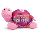 VALENTINE PLUSH TURTLE COLLECTION - SET OF 6