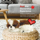 Realistic Lifelike Shih Tzu Stuffed Interactive Pet