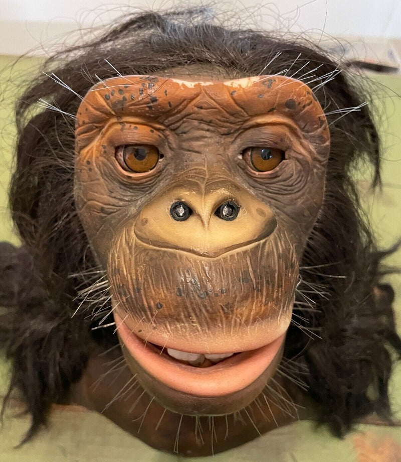 Interactive Animatronic Chimpanzee Monkey Prop from 2005 Haunted House Horror Collection