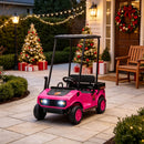 Pink 2-Seater 24V Kids Golf Cart with 2WD and Soft Start Rear Suspension