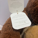 Bruno Mars 15" Plush COUNT ON ME Bears by Hallmark - Brown Edition 2016