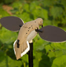 MOJO Outdoors Voodoo Dove Motorized Spinning Wing Decoy with 16-Hour Battery Life