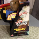 Dancing Hamster Plush Toy with Boots and Battery Operation