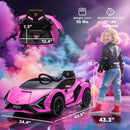 12V Pink Lamborghini SIAN Electric Ride-On Car for Children