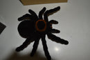 EZTEC REMOTE CONTROL TARANTULA - FRESH RELEASE (MLQ34)