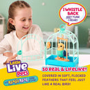 Whimsical Chatty Bird Toy in Cage - Voice Mimicking Fun for Imaginative Kids 5-7