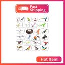 kukifun 30-Piece Realistic Bird Figurine Set with Nest and Eggs