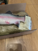 Gemmy Travis Motion-Activated Singing Trout Fish Toy
