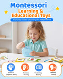 Aullsaty Interactive Blue Flash Cards with 224 Words and 3 Songs