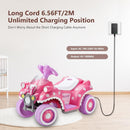 6V Battery Charger for Children's Electric Vehicle, Works with MINNIE MOUSE and BMX
