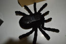 EZTEC REMOTE CONTROL TARANTULA - FRESH RELEASE (MLQ34)