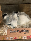 Realistic Breathing Plush Alaskan Husky Dog by Perfect Petzzz