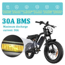 High-Performance 48V 20Ah Battery with 40A BMS and 2A Charger