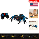LED-Eyed RC Spider Toy with Fun 360 Spin for Thrilling Playtime