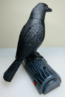 Talk Back Raven Animated Halloween Prop Pan Asian Creations Tested Rare 6.5 Tall