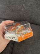 HEXBUG Remote Control Orange Fire Ant - Brand New Mint Condition