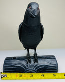 Talk Back Raven Animated Halloween Prop Pan Asian Creations Tested Rare 6.5 Tall