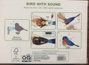 Garden  Party Bird Sound Singing Chirping Motion Activated Blue Red - Brand New