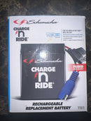 6V 4.5Ah Rechargeable Battery for Ride-On Toys and Vehicles Magic Cars Variant 0