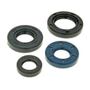 Seal Kit for 2-Stroke PGO Engines