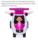 Skye Paw Patrol Plush Toy for Kids Gift Magic Cars 1