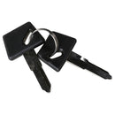 Spare Key Set for Ignition & CSC Go., Go Max, Venture