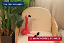 Interactive Talking Flamingo That Mimics Your Voice with a Fun Twisting Motion Magic Cars 5
