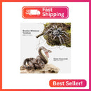 4-Pack Realistic Fake Snake and Spider Prank Figurines Magic Cars 1