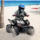 6V Battery-Powered Kids Electric Ride-On ATV Quad Car with Music and LED Lights Magic Cars 1