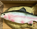 Retro Travis the Singing Trout Motion-Sensing Battery-Powered Fish Toy Magic Cars 8