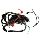 Wire Harness Assembly, CSC Go. Max for CSC Scooters