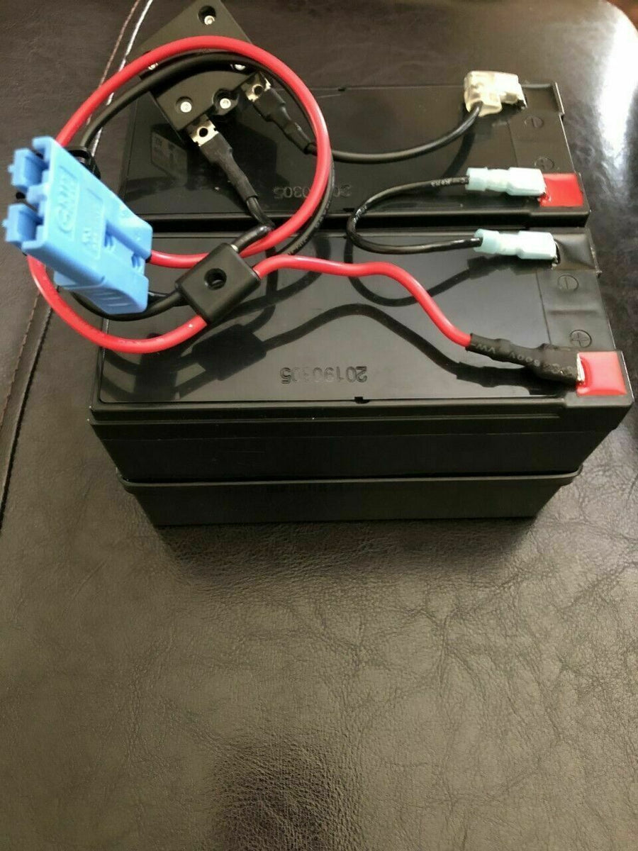 Power Wheels 24 Volt Princess Carriage Battery 24V Battery With