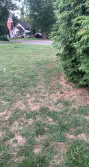 2 Seater 24 Volt 4x4 Electric Ride On Jeep Style Rubber Tires Fully Loaded Truck ATV UTV For Kids W/Magic Cars® Wireless Parental Control