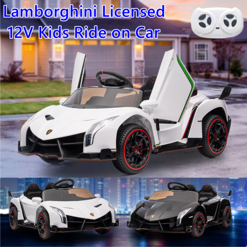 https://i.ebayimg.com/images/g/CFUAAOSwNipkWcvz/s-l500.png