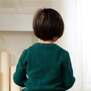 Children VW ride on van toy car