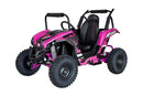 Pink 48V 1000W UTV Children's Electric Three Speed Single Seat Brushless Roll Cage